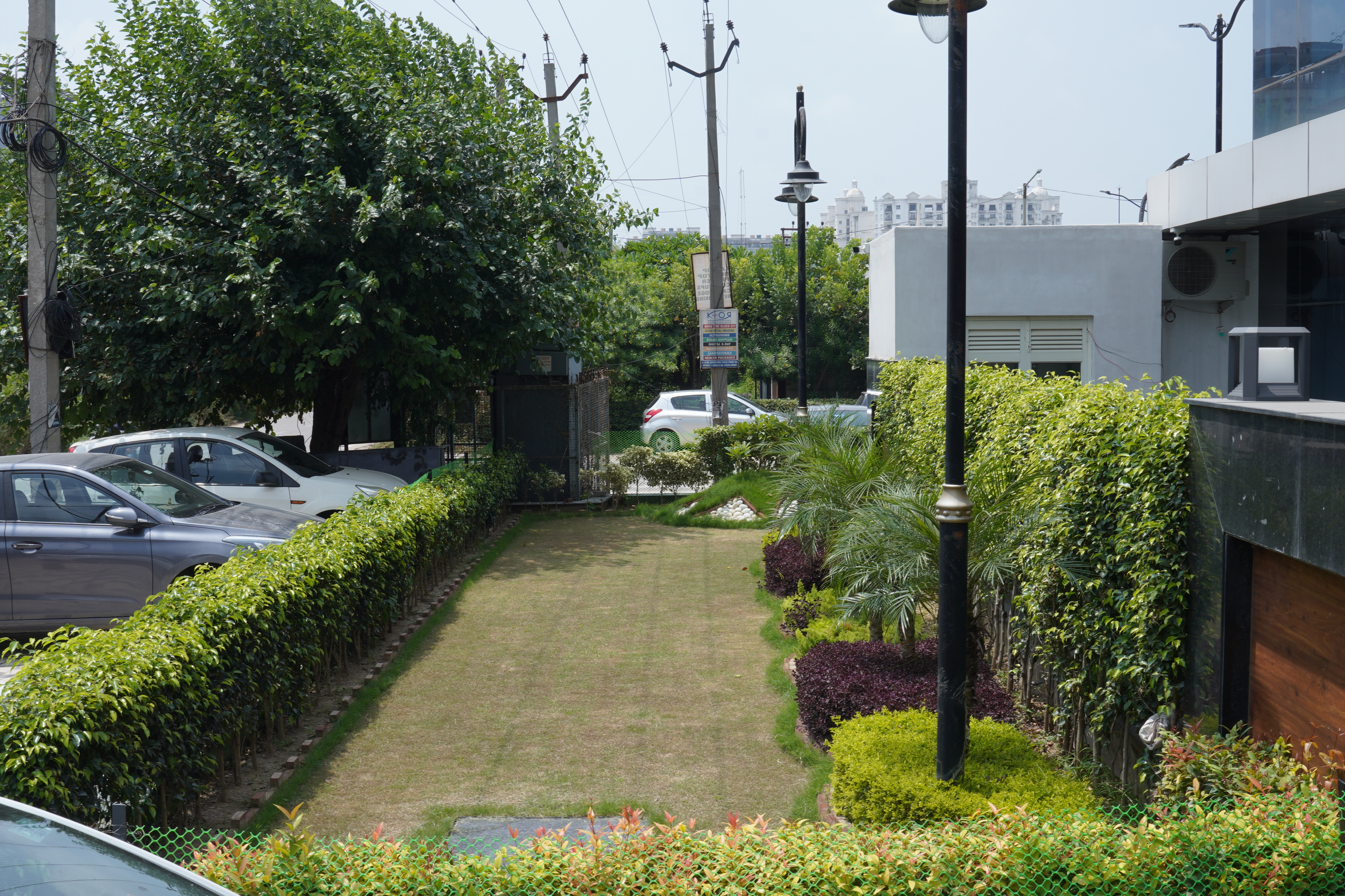 Garden area
